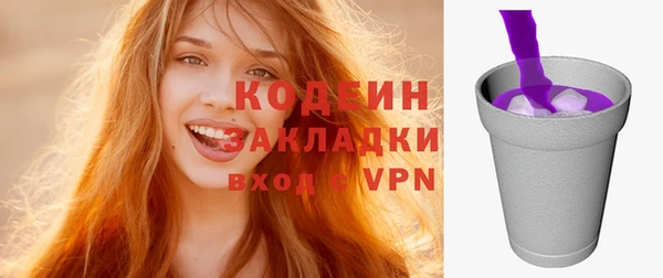 ПСИЛОЦИБИНОВЫЕ ГРИБЫ Каменка