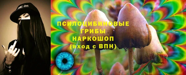 синтетический гашиш Каменск-Шахтинский