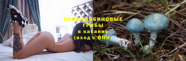 ПСИЛОЦИБИНОВЫЕ ГРИБЫ Каменка