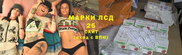 ПСИЛОЦИБИНОВЫЕ ГРИБЫ Каменка
