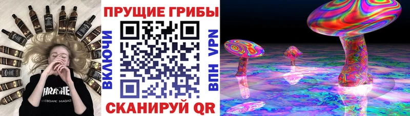 Псилоцибиновые грибы мухоморы Гремячинск