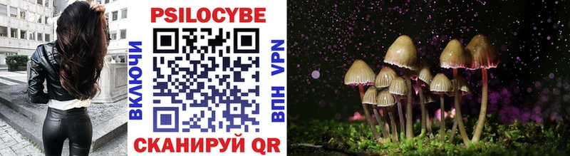 Купить закладки  Гремячинск  Псилоцибиновые грибы Psilocybe 